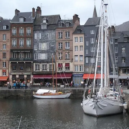 De France - Le Nid De Verdure